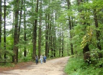 ‘치매 전문의는 왜 암수술 후 항암 대신 자연치료 선택했나