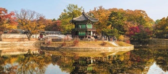 3년 복원사업 끝낸 경복궁 향원정