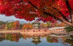 [유석재의 돌발史전] 향원정 복원하고 나니 옆에 현대식 다리? 어떻게 된 일인가