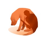 프랑스, 동물 학대하면 최대 ‘징역 5년’… 동물병원서만 강아지 판매 가능