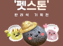 ‘반려石’ 파는 GS25… “돌팔이네” “예쁘다” 와글와글