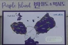 [김민철의 꽃이야기] 수선화·애기동백꽃, 신안 퍼플섬엔 봄기운 물씬