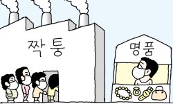 [만물상] 가짜 명품족
