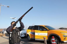 여객기 착륙 1분전… 탕! 탕! 탕! 인천공항 기러기 퇴치 아슬아슬