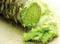 기온 상승으로 줄기부터 썩는다…日 와사비 사라질 위기