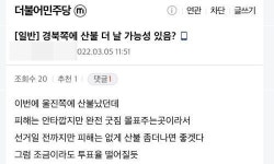 “野 몰표 경북, 투표 못하게 산불 더 났으면” 글에… 野 “끔찍한 발상”