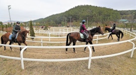 아이·연인과 함께 이럇!  함안 승마공원서 말 타보세요