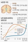 6세에 인지영역 최고… 이젠 치매도 조기 진단