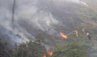 12시간 만에 주불 잡힌 양양 산불…헬기·인력 투입해 잔불 진화