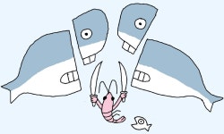 [윤희영의 News English] “등 터지던 새우에서 고래가 된 한국”