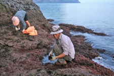 [김준의 맛과 섬] [98] 우이도 돈목마을 섬밥상