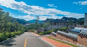 호랑이 만나고 금강송으로 힐링…산림 자원의 보물창고