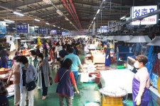 닿을 수 없는 江엔 평화의 잔물결이… 모내기 후 새참 먹는 북녘 농민들이 보이나요?