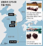 [유석재의 돌발史전] 삼별초는 정말 제주도에서 전멸했을까?
