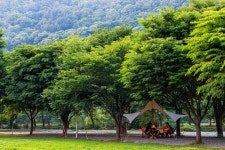 아삭한 까맹이 토마토와 수달, 개산삼까지… 모두 여기 첩첩산중에 있답니다