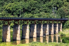 아삭한 까맹이 토마토와 수달, 개산삼까지… 모두 여기 첩첩산중에 있답니다