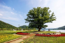 아삭한 까맹이 토마토와 수달, 개산삼까지… 모두 여기 첩첩산중에 있답니다