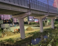 범람 후 출입통제 도림천변, 산책·자전거족이 점령… 안전불감증 우려