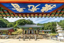 K할매들 ‘잔소리 열전’ 그립다면 이곳으로... 뽀글 파마한 그녀들과 함께 막춤을!