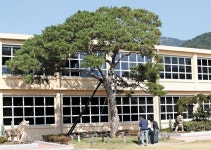 구인회·허만정처럼… 부자 기운 받아볼까