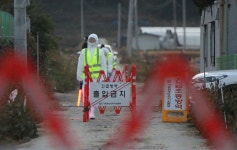 청주 오리 농장 조류인플루엔자 발생… 올 가을 들어 네번째