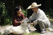 文이 파양한 풍산개들, 서울대공원 가나… 과거 전례 보니