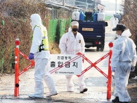 AI 확산, 작년보다 빠르다… 두달 새 7개 시·도로 번져