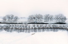 [더 한장] 눈이 그린 수묵화