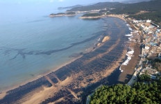 [더 한장] 123만명이 만든 기적