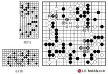 [제27회 LG배 조선일보 기왕전] 賊反荷杖