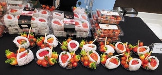 맛 보더니 “같이 사업합시다”… UAE 입맛 사로잡은 K과일