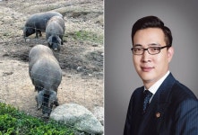 친환경 이베리코에 꽂혔다... 스페인까지 날아간 한화 김동선