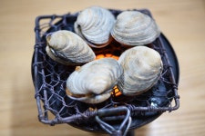 [김준의 맛과 섬] [132] 통영 개조개