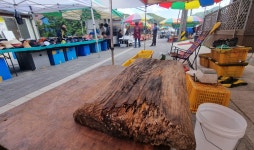 [더 한 장] 옛 광부 마을서 열린 ‘통리5일장’