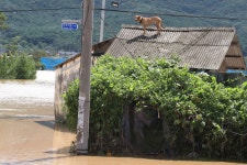 태풍 힌남노·메기·노루 사라진다… 대체 이름 공모하는 기상청, 왜?
