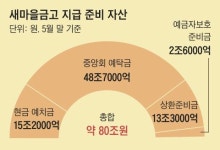 새마을금고 안정 되찾나… 자금이탈 1조 줄고 재예치 3000건