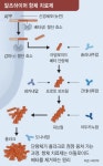 알츠하이머 치료제, 더 강력한 게 온다