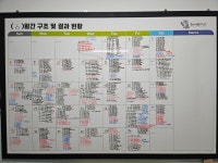 미어캣·라쿤·부엉이가 한 집 살림하게 된 사연?...야생동물구조센터의 힘겨운 여름나기