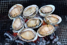 [김준의 맛과 섬] [151] 외달도 한방전복닭죽