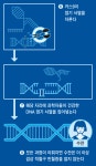 유전자 가위 적용한 첫 치료제… 올해 美서 허가될 듯
