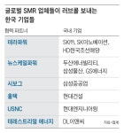 탈원전에도 핵심 인력 지켰다… 650조 SMR 시장 최강자로 부활