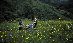[7NEWS] ‘바가지’ 요금 근절...25만명 찾은 예산 맥주 페스티벌