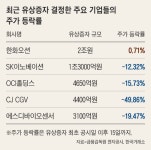 기업들 유상증자 후 대부분 주가 하락 ‘투자 주의보’