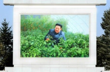 김일성·김정일 반열에...평양에도 등장한 김정은 모자이크 벽화