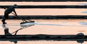 50년간 염전노예로 일한 60대에 날아든 세금 독촉장, 무슨 일?