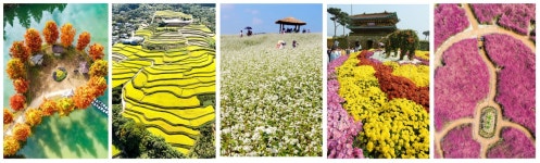 [더 한장] 오색의 향연이 펼쳐질 전국의 산하