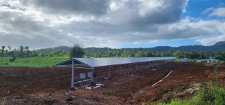 [쫌아는기자들] 농사 지으면서 태양광 발전까지? 엔벨롭스가 ‘영농형 태양광’을 들고 피지섬으로 간 이유