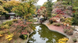 [C컷] 비원(祕苑), 왕의 정원을 거닐다