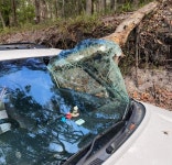 차 앞유리 뚫고 조수석 관통한 나무… 호주 학생들 전원 기적 생존