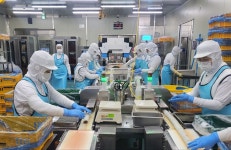 “1인당 2개만 판매” 美서 열풍…얼려도 안 터지는 김밥의 비밀